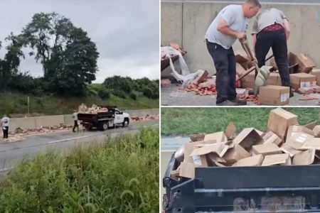 newspress collage mmmklrj78 1754113369934