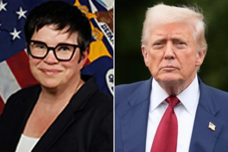 newspress collage nqfltvami 1754085070269