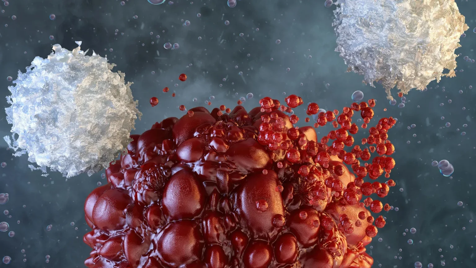 nk immune cells attacking cancer.webp
