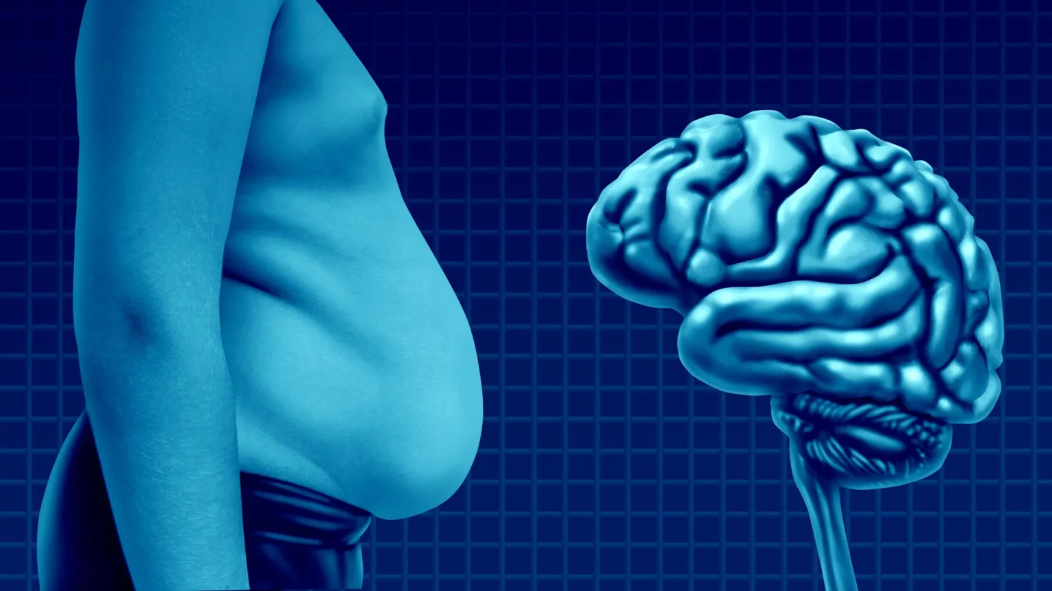 obesity and brain.webp
