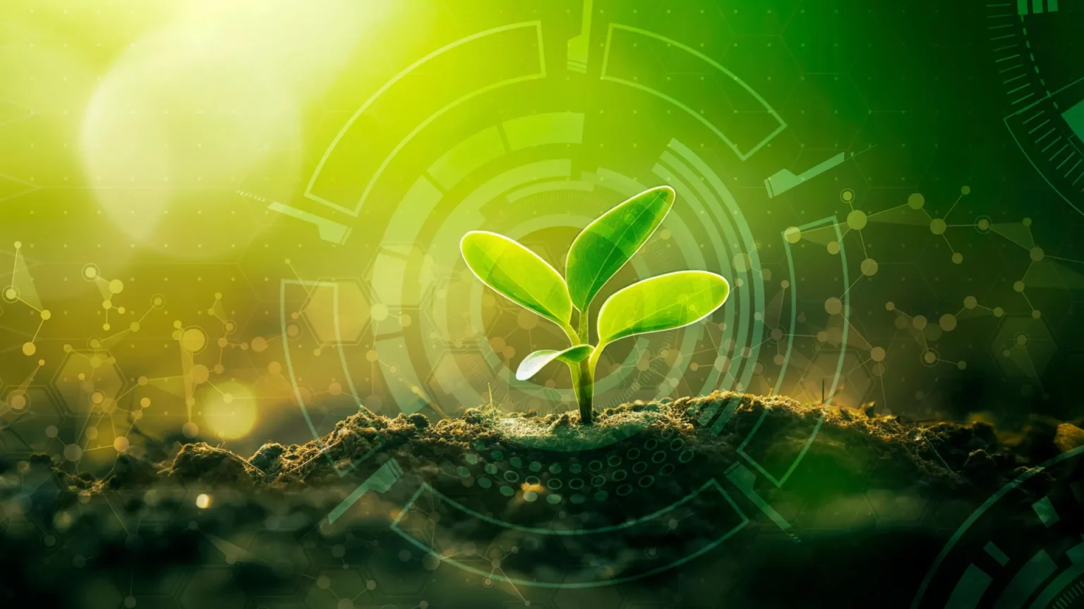 plant agriculture technology.webp