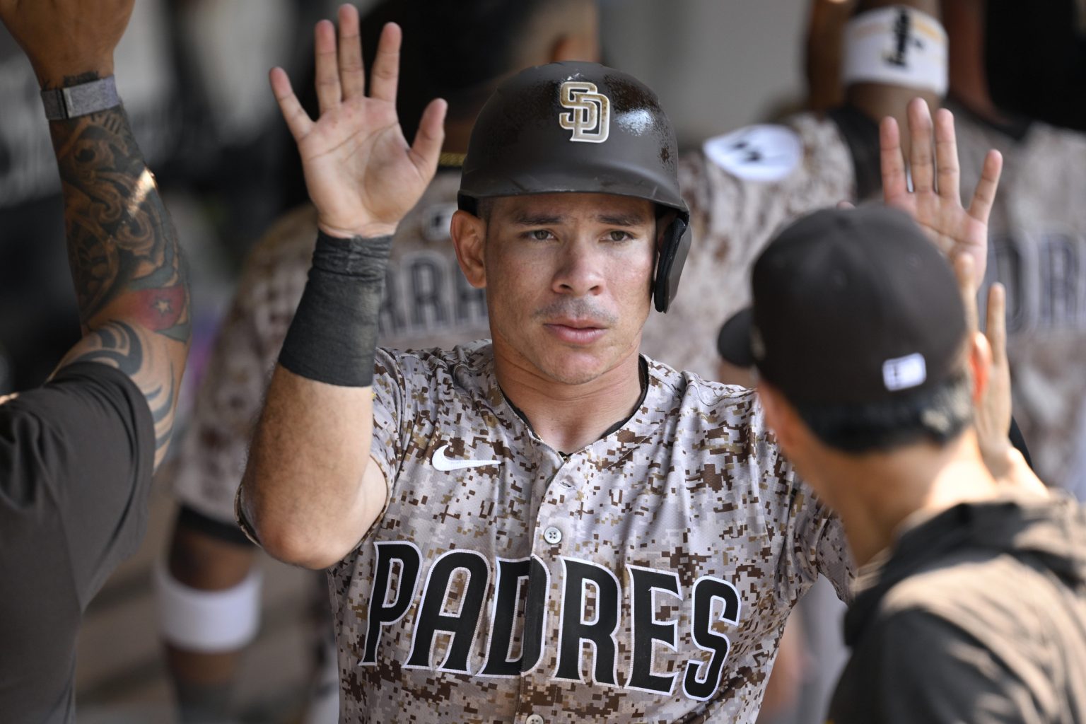 san diego padres catcher freddy fermin