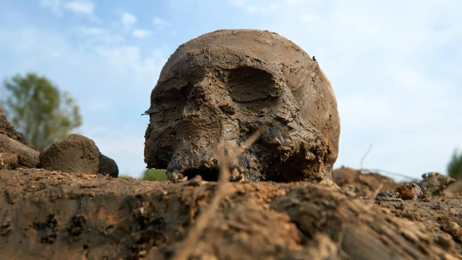 skull archaeological site human remains.webp