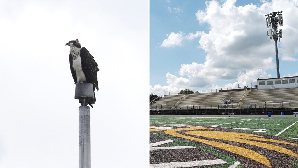 split of osprey and hs football field