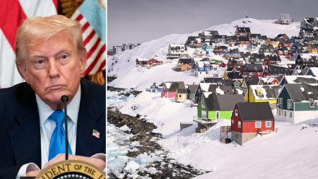trump greenland split