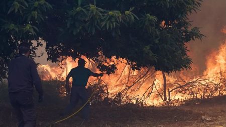 1200x675 cmsv2 4f9ad1df 503d 5af4 804f 1f8a3255f5a6 9435682