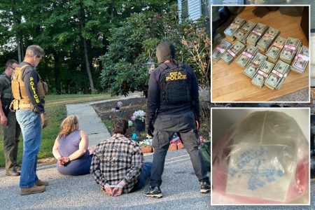 480 kilograms fentanyl 11m cash 111014465