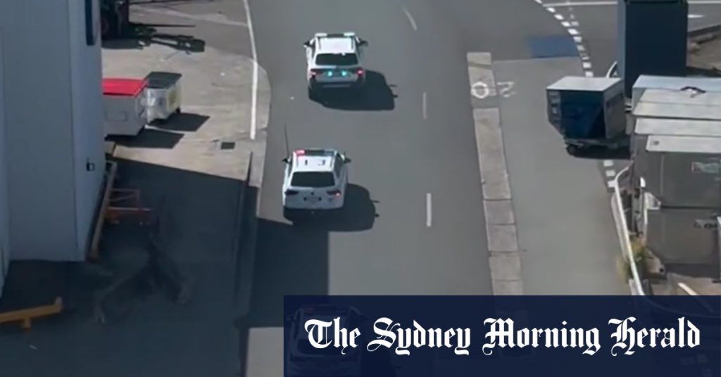 8b5f97093e6ef93a7cc65bfba011a5e353247a67