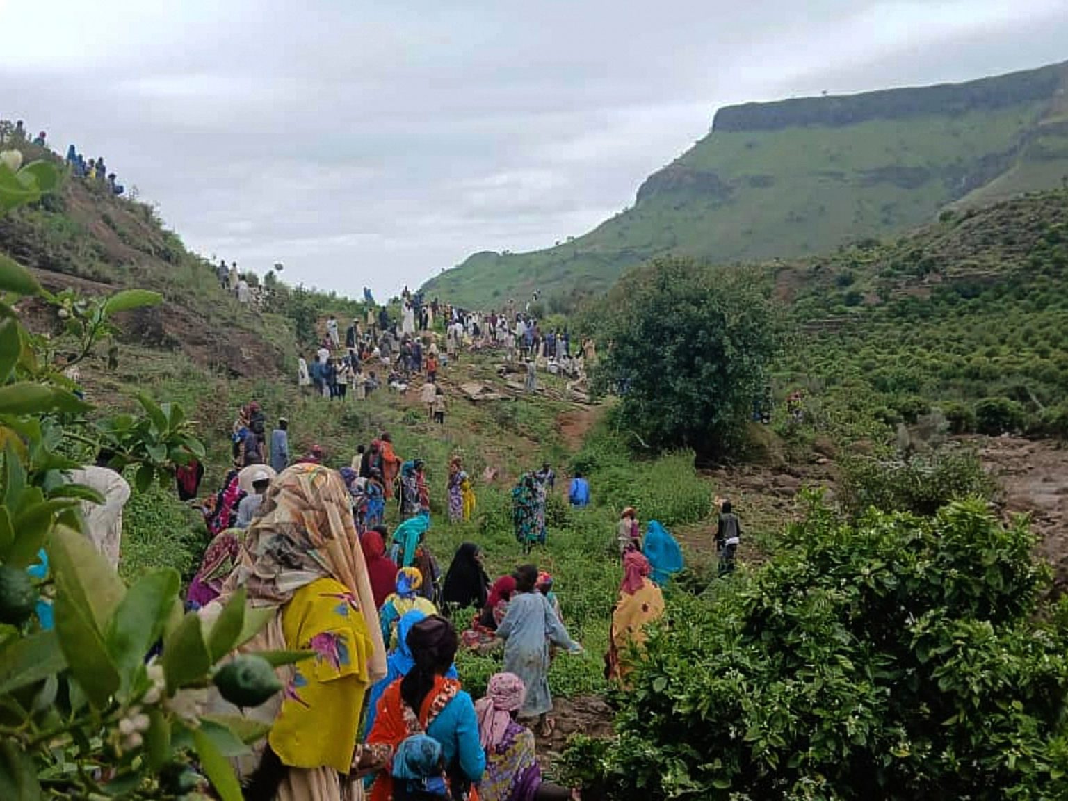 AP25245361320711 1756889945