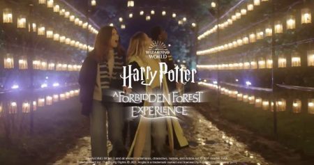 SET GFX PARK BOARD HARRY POTTER BACKLASH