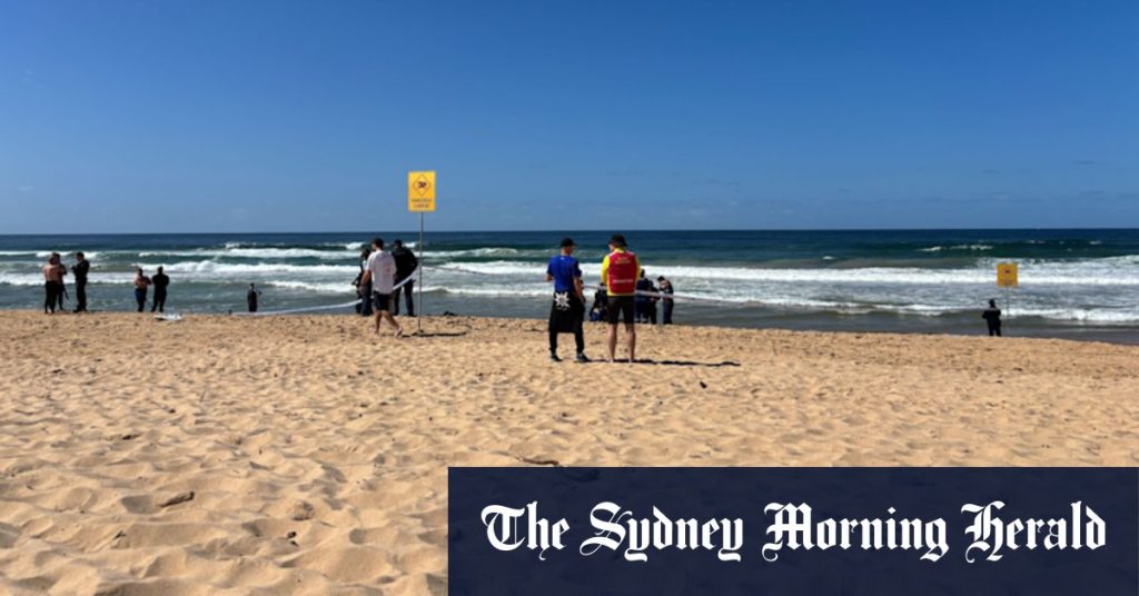 a50a8673f2385334a3c692a4265ffd685181a0a99bc21826b6172ca64892db22