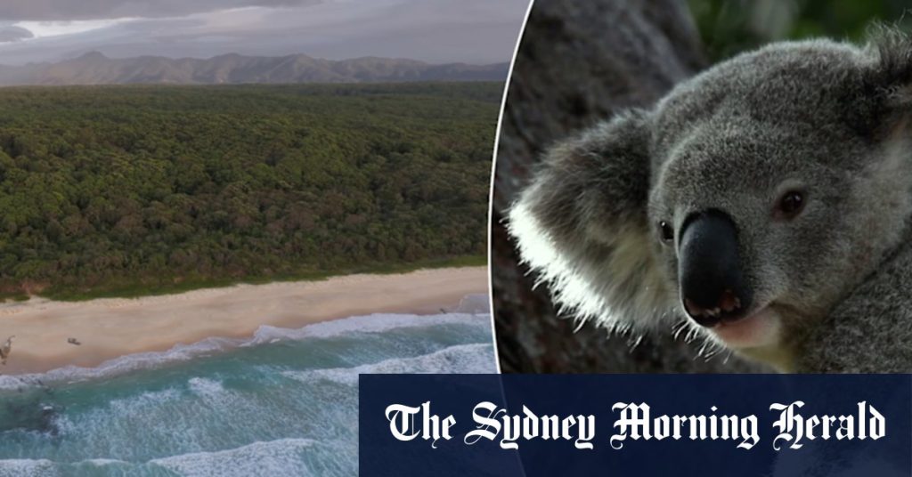 bd3862208d8f6d11a25efcbcb59a25fdb47a72d7