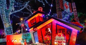 bright nights 900x600 2022