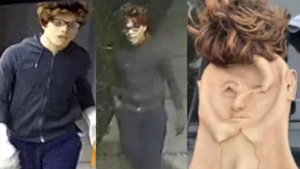 california mask robberies suspect