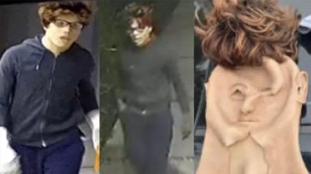 california mask robberies suspect