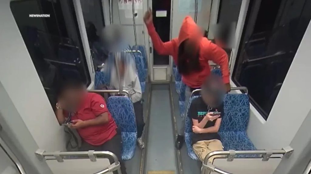 charlotte stabbing train cats