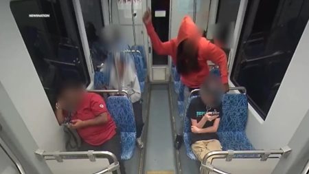 charlotte stabbing train cats