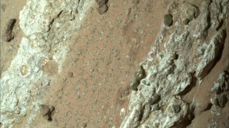 Array cheyava falls mars rock leopard spots.webp