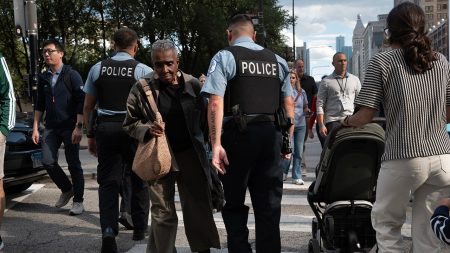 chicago police city crime