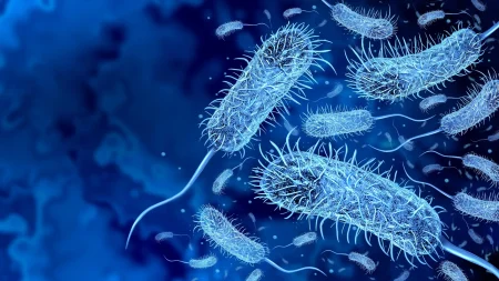 dangerous bacteria cholera.webp