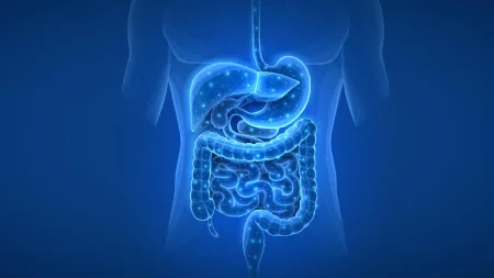 Array gut health human digestive system.webp