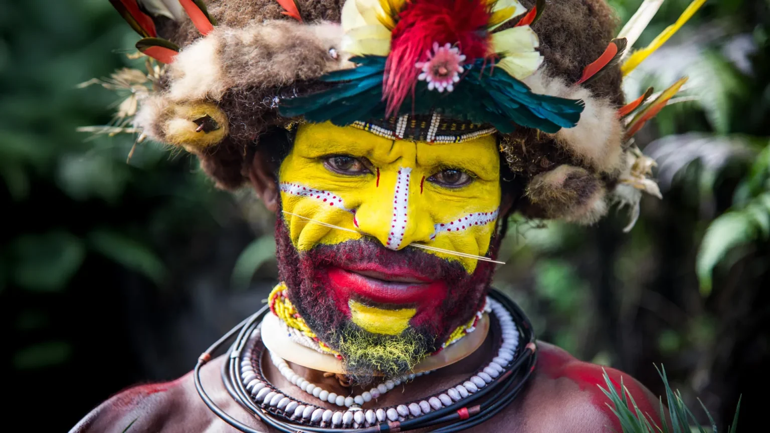 huli man papua new guinea.webp