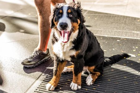 newspress collage gmhdca6fp 1756250052735