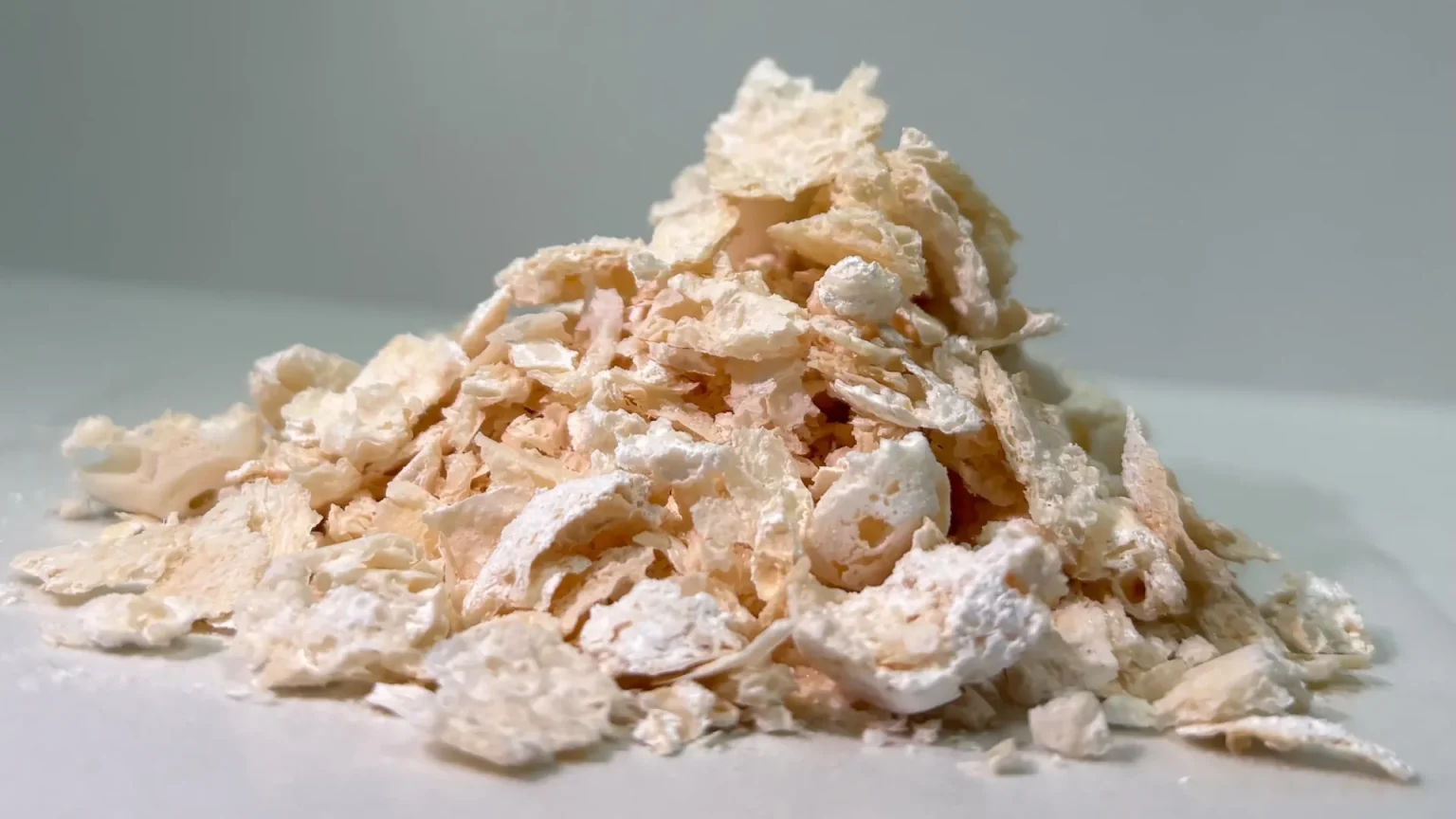 pdca biodegradable pet alternative.webp