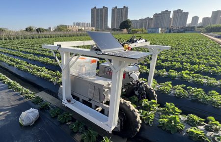 robotic strawberry harvester