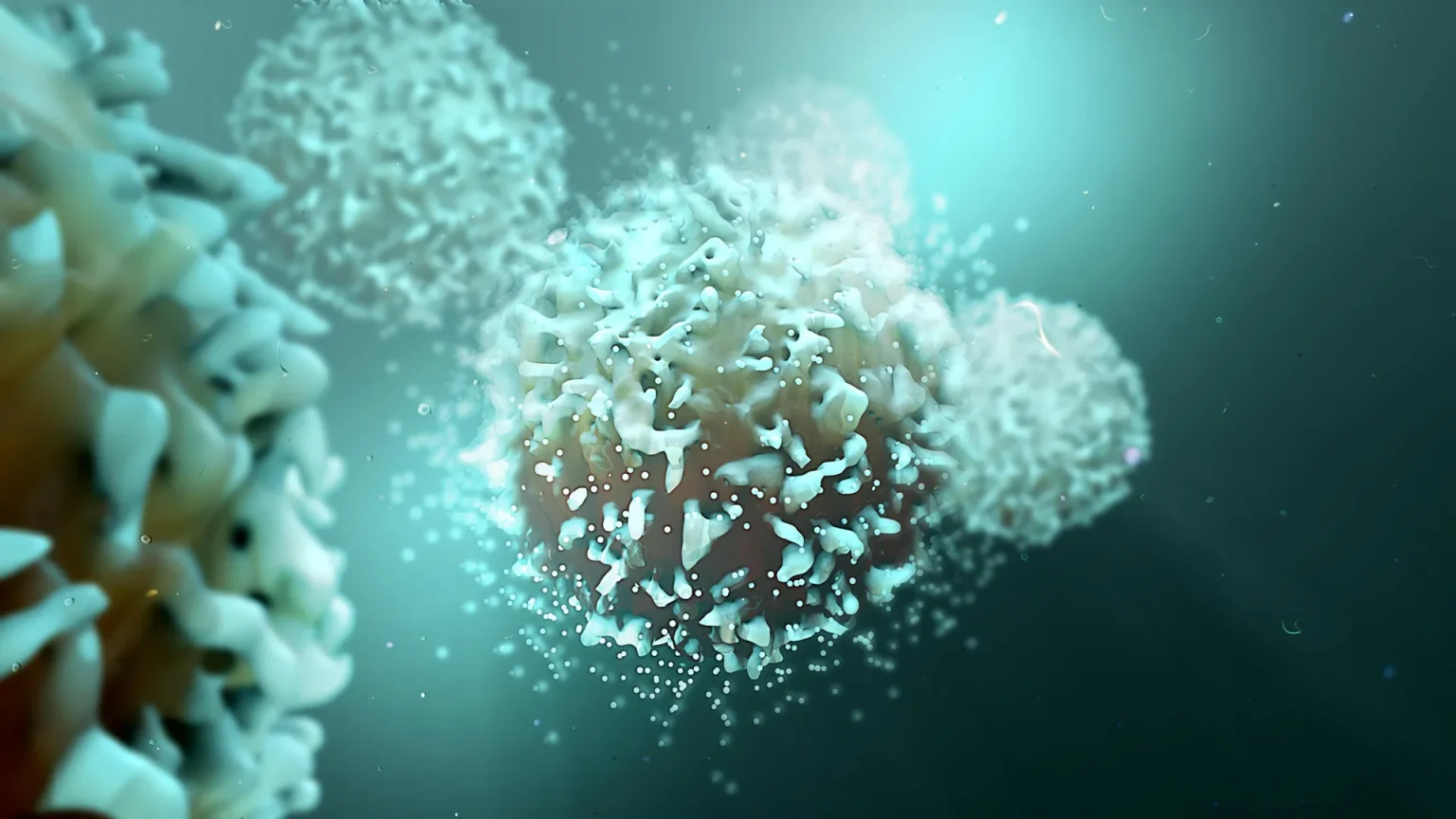 t cells cancer cells.webp