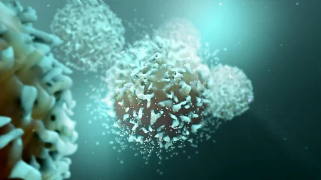Array t cells cancer cells.webp