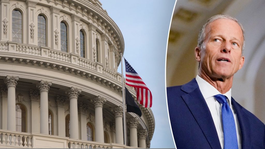 thune senate fox news