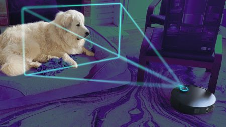 Array torben jared dog