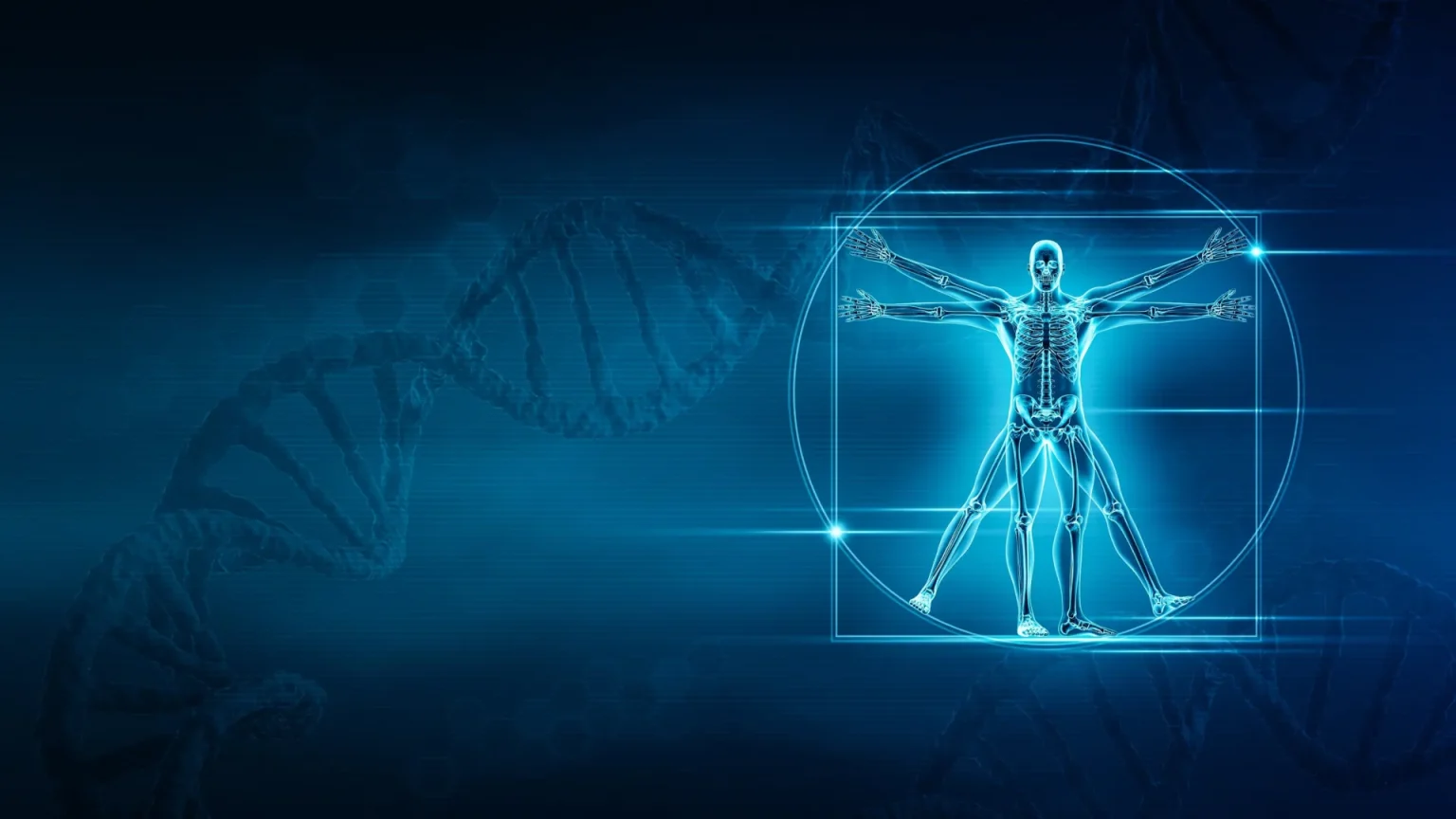 vitruvian man dna.webp
